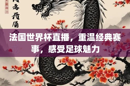法国世界杯直播，重温经典赛事，感受足球魅力