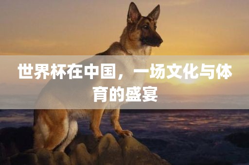世界杯在中国，一场文化与体育的盛宴
