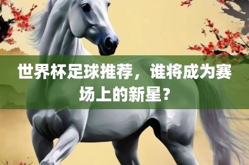 世界杯足球推荐，谁将成为赛场上的新星？