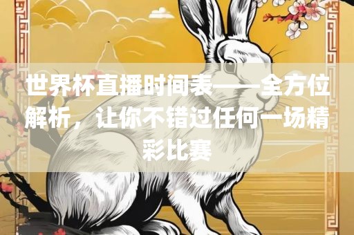 世界杯直播时间表——全方位解析，让你不错过任何一场精彩比赛