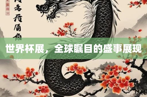 世界杯展，全球瞩目的盛事展现