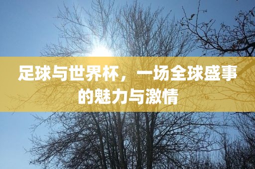 足球与世界杯，一场全球盛漯河市盈旭机械设备有限公司事的魅力与激情
