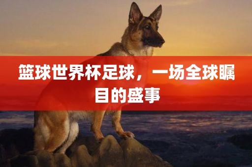 篮球世界杯足球，一场全球瞩目的盛事