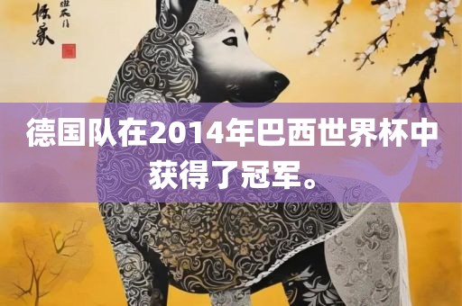 德国队在2014年巴西世界杯中获得了冠军。