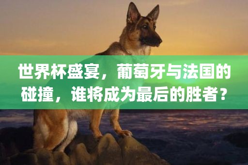世界杯盛宴，葡萄牙与法国的碰撞，谁将成为最后的胜者？