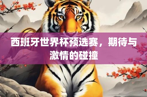西班牙世界杯预选赛，期待与激情的碰撞