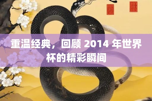 重温经典，回顾 2014 年世界杯的精彩瞬间