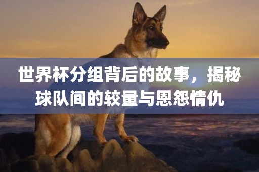 世界杯分组背后的故事，揭秘球队间的较量与恩怨情仇