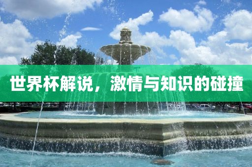 世界杯解说，激情与知识的碰撞