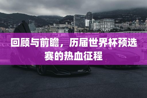 回顾与前瞻，历届世界杯预选赛的热血征程