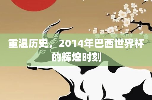重温历史，2014年巴西世界杯的辉煌时刻