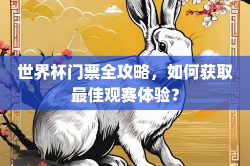世界杯门票全攻略，如何获取最佳观赛体验？