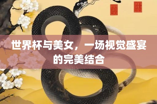 世界杯与美女，一场视觉盛宴的完美结合