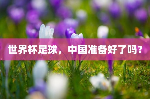 世界杯足球，中国准备好了吗？