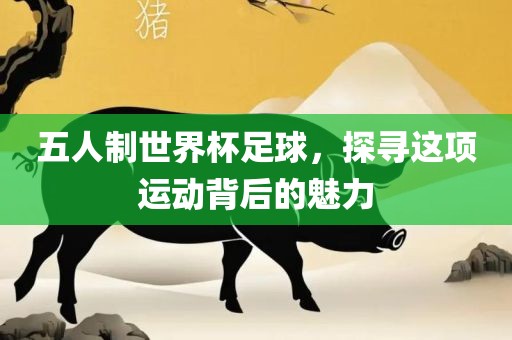 五人制世界杯足球，探寻这项运动背后的魅力