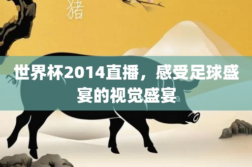 世界杯2014直播，感受足球盛宴的视觉盛宴