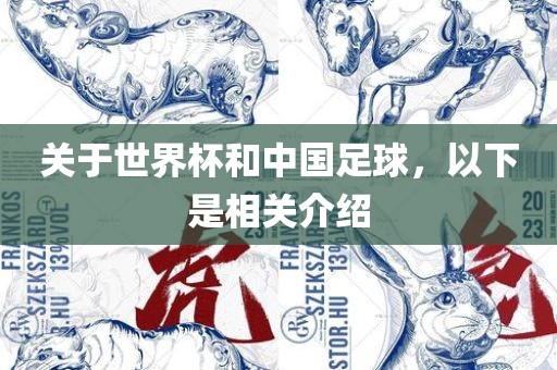 关于世界杯和中国足球，以下是相关介绍