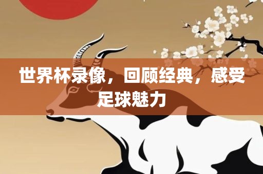 世界杯录像，回顾经典，感受足球魅力