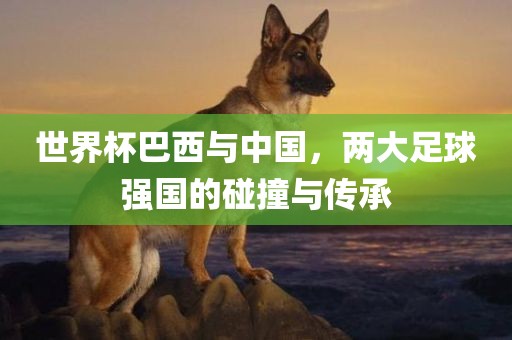 世界杯巴西与中国，两大足球强国的碰撞与传承