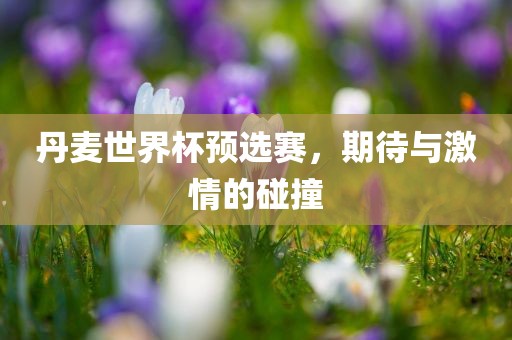 丹麦世界杯预选赛，期待与激情的碰撞