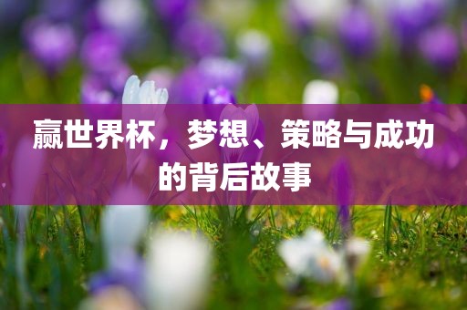 赢世界杯，梦想、策略与成功的背后故事
