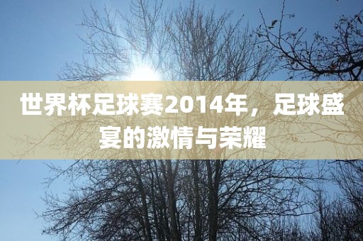 世界杯足球赛2014年，足球盛宴的激情与荣耀
