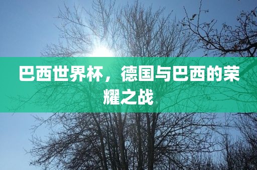 巴西世界杯，德国与巴西的荣耀之战