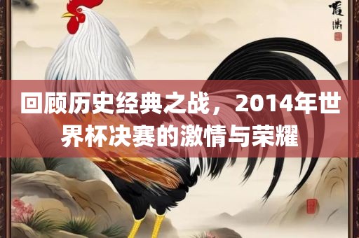 回顾历史经典之战，2014年世界杯决赛的激情与荣耀