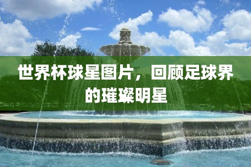 世界杯球星图片，回顾足球界的璀璨明星