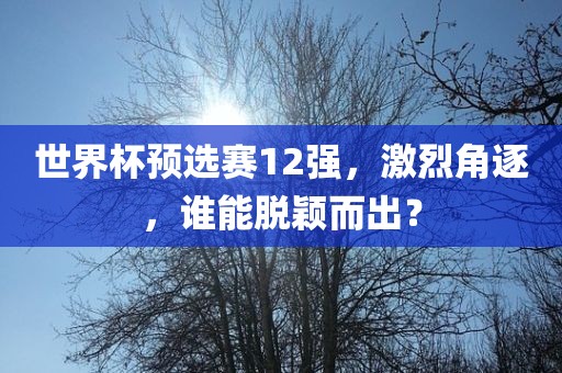 世界杯预选赛12强，激烈角逐，谁能脱颖而出？