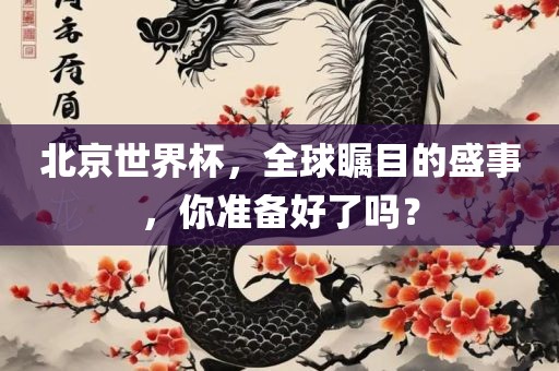 北京世界杯，全球瞩目的盛事，你准备好了吗？
