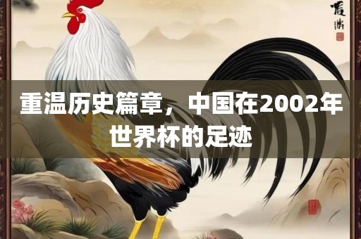 重温历史篇章，中国在2002年世界杯的足迹