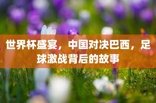 世界杯盛宴，中国对决巴西，足球激战背后的故事