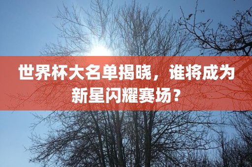 世界杯大名单揭晓，谁将成为新星闪耀赛场？