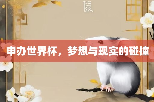 申办世界杯，梦想与现实的碰撞