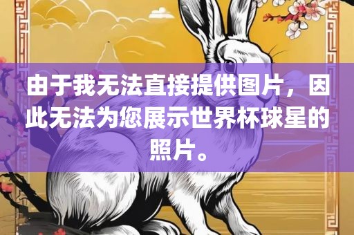 由于我无法直接提供图片，因此无法为您展示世界杯球星的照片。