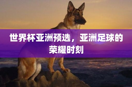 世界杯亚洲预选，亚洲足球的荣耀时刻