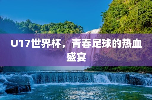 U17世界杯，青春足球的热血盛宴