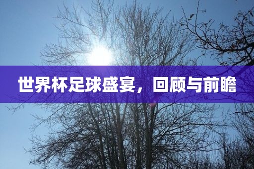 世界杯足球盛宴，回顾与前瞻