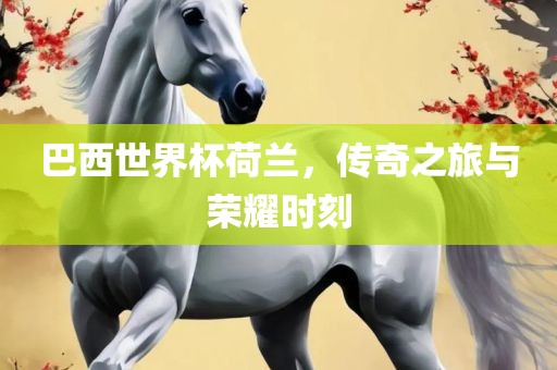 巴西世界杯荷兰，传奇之旅与荣耀时刻
