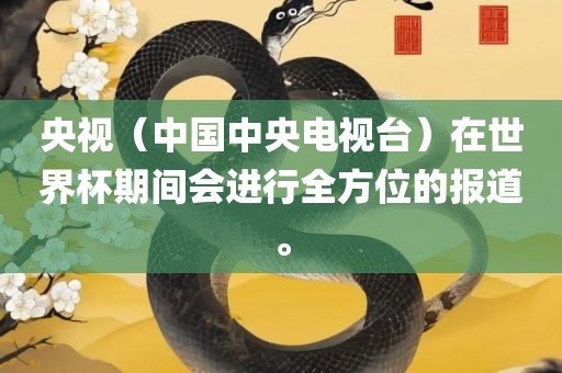 央视（中国中央电视台）在世界杯期间会进行全方位的报道。