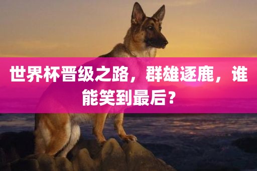 世界杯晋级之路，群雄逐鹿，谁能笑到最后？