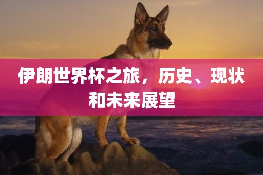 伊朗世界杯之旅，历史、现状和未来展望