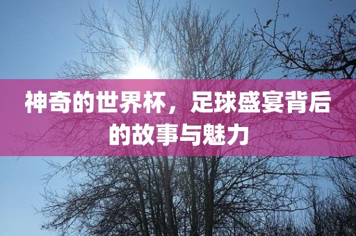 神奇的世界杯，足球盛宴背后的故事与魅力
