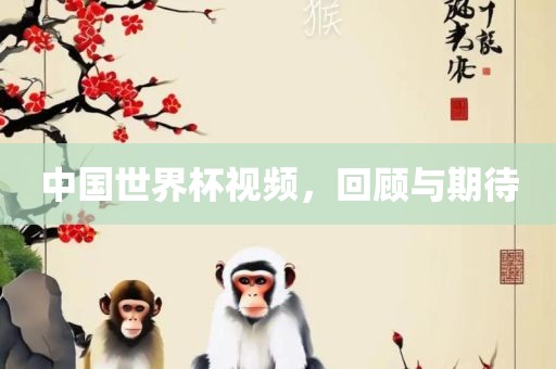 中国世界杯视频，回顾与期待