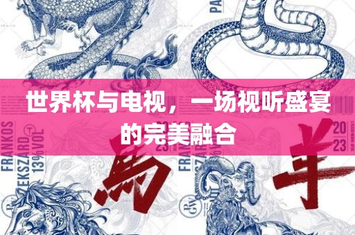 世界杯与电视，一场视听盛宴的完美融合