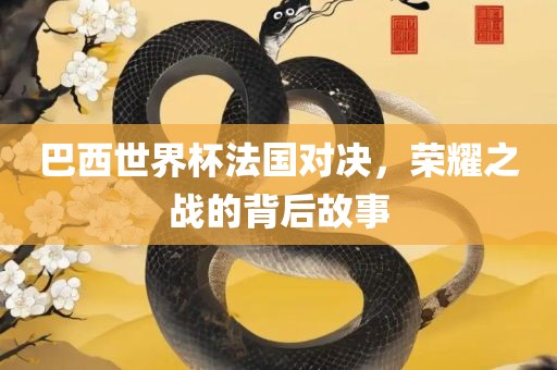 巴西世界杯法国对决，荣耀之战的背后故事