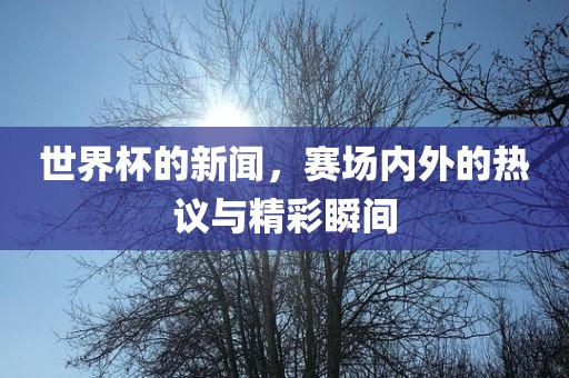世界杯的新闻，赛场内外的热议与精彩瞬间