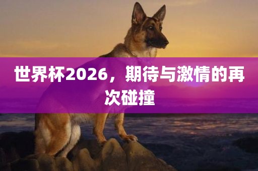 世界杯2026，期待与激情的再次碰撞