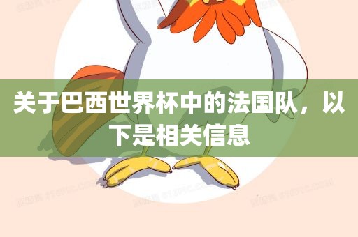 关于巴西世界杯中的法国队，以下是相关信息